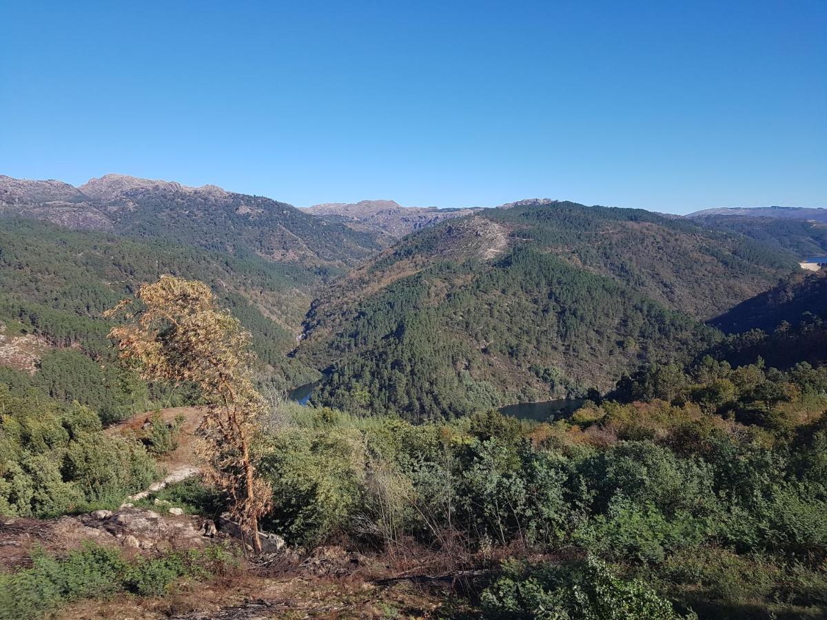 Quinta Da Resteva-Chale Do Rio Vieira do Minho Bagian luar foto
